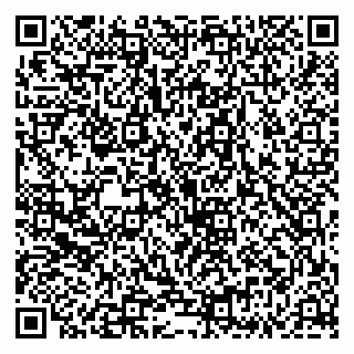 vCard 79335535175
