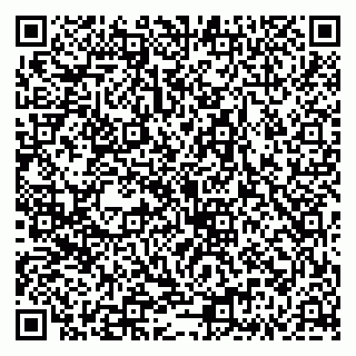 vCard 79335535177
