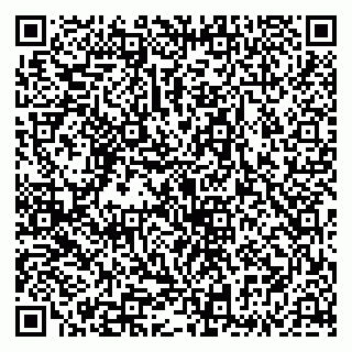 vCard 79335535181