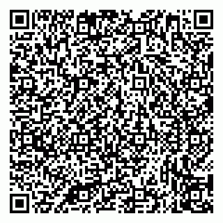 vCard 79335535183