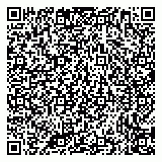 vCard 79335535185