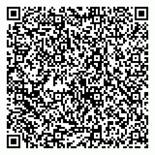 vCard 79335535187