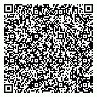 vCard 79335535188
