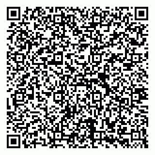 vCard 79335535189