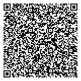 vCard 79335535193