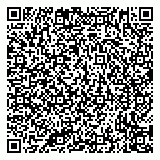 vCard 79335535198