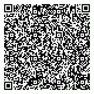 vCard 79335535199