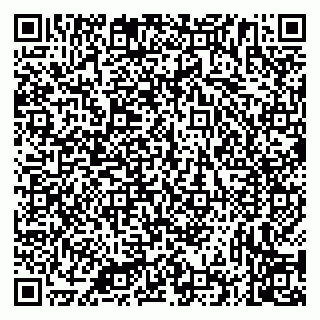 vCard 79335535202