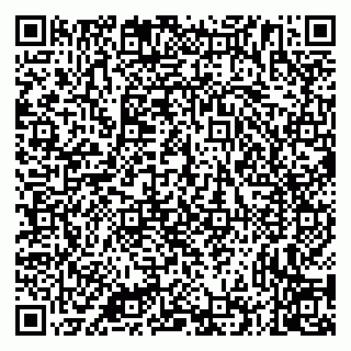 vCard 79335535204