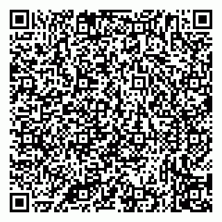 vCard 79335535207