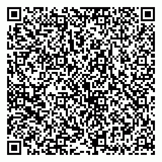 vCard 79335535209