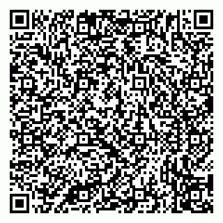 vCard 79335535211
