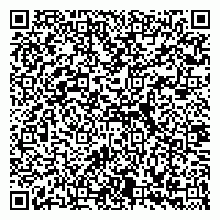 vCard 79335535213