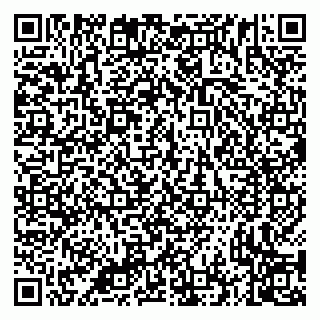 vCard 79335535218