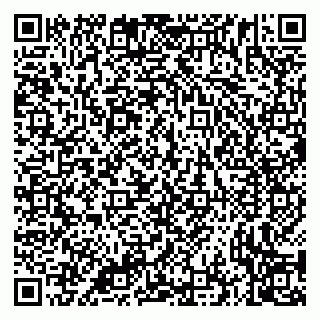 vCard 79335535219