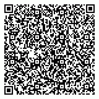 vCard 79335535231