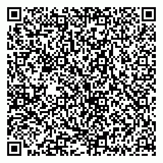 vCard 79335535232