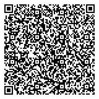 vCard 79335535233