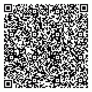 vCard 79335535248