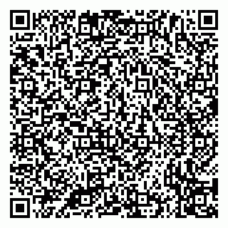 vCard 79335535249