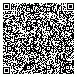 vCard 79335535254