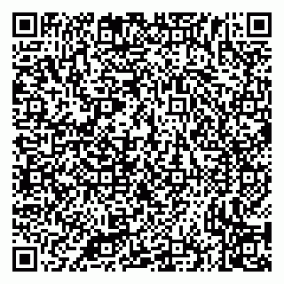 vCard 79335535258