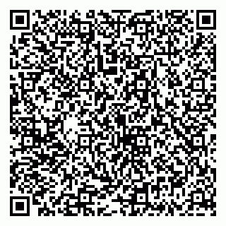 vCard 79335535259