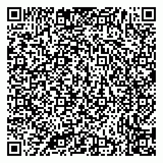 vCard 79335535265