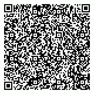 vCard 79335535269