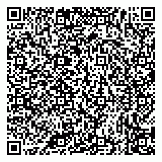 vCard 79335535272