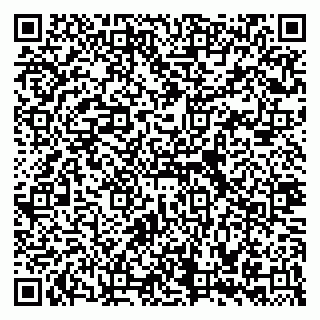 vCard 79335535273