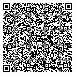 vCard 79335535275