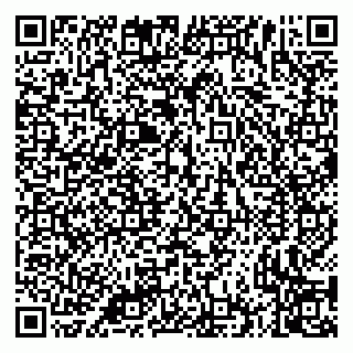 vCard 79335535278