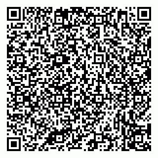 vCard 79335535283