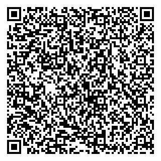 vCard 79335535284