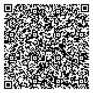 vCard 79335535285