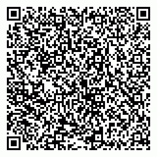 vCard 79335535286