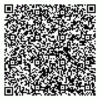 vCard 79335535289