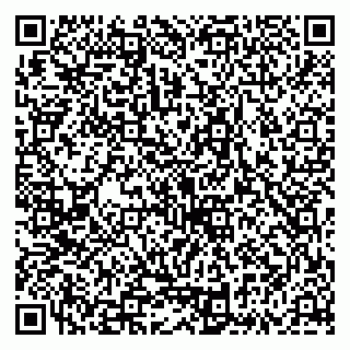 vCard 79335535294