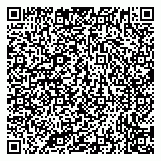 vCard 79335535295
