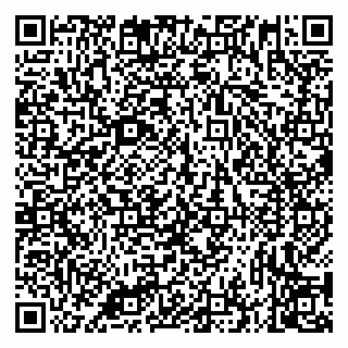 vCard 79335535296