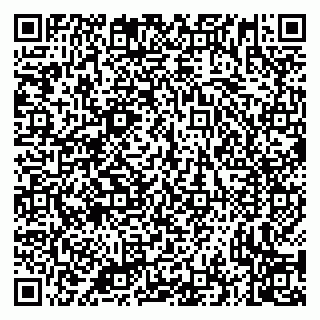 vCard 79335535298
