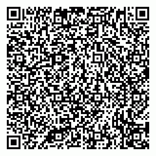 vCard 79335535299