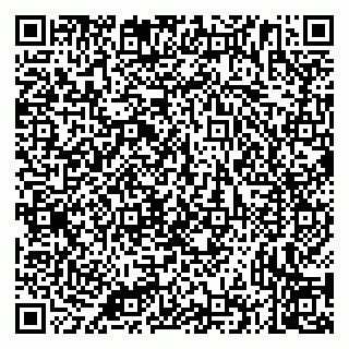 vCard 79335535300