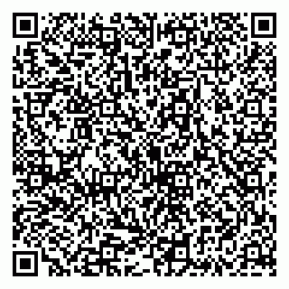 vCard 79335535301