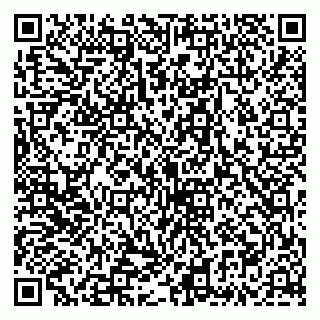 vCard 79335535309