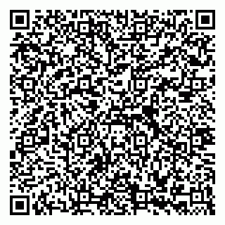 vCard 79335535311