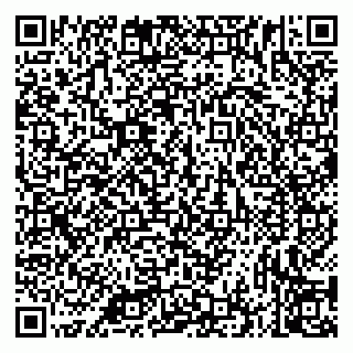 vCard 79335535312
