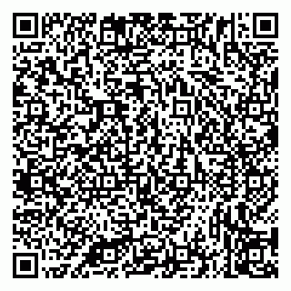 vCard 79335535313