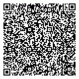 vCard 79335535314